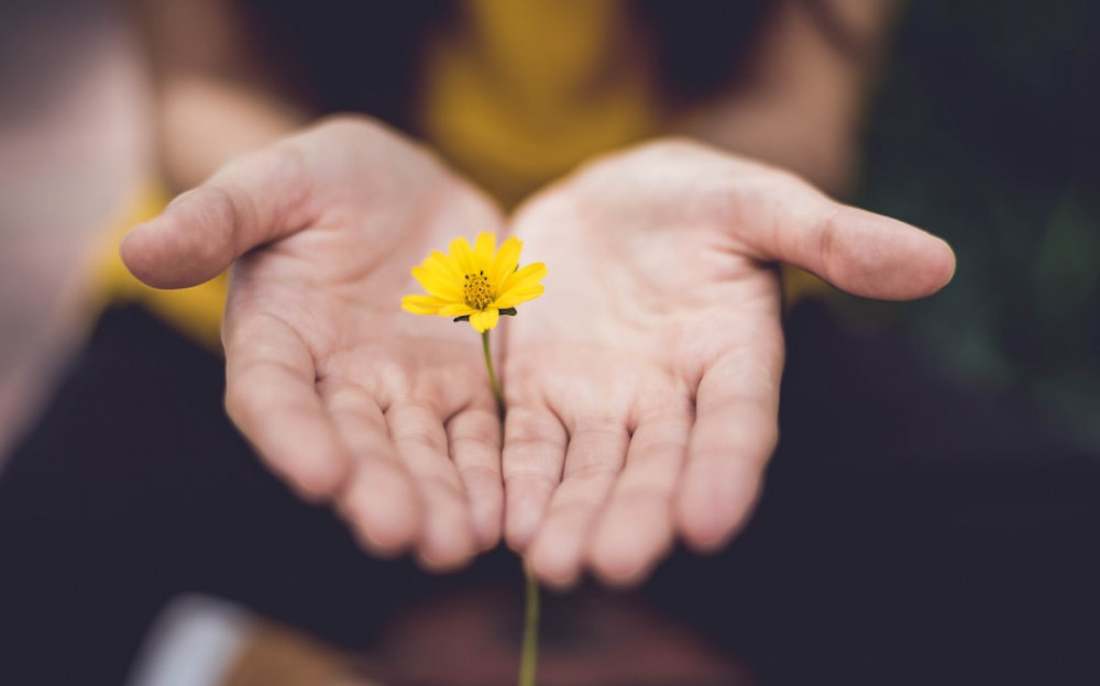 how to deal with stress and anxiety with mindfulness practices: a girl is holding a flower