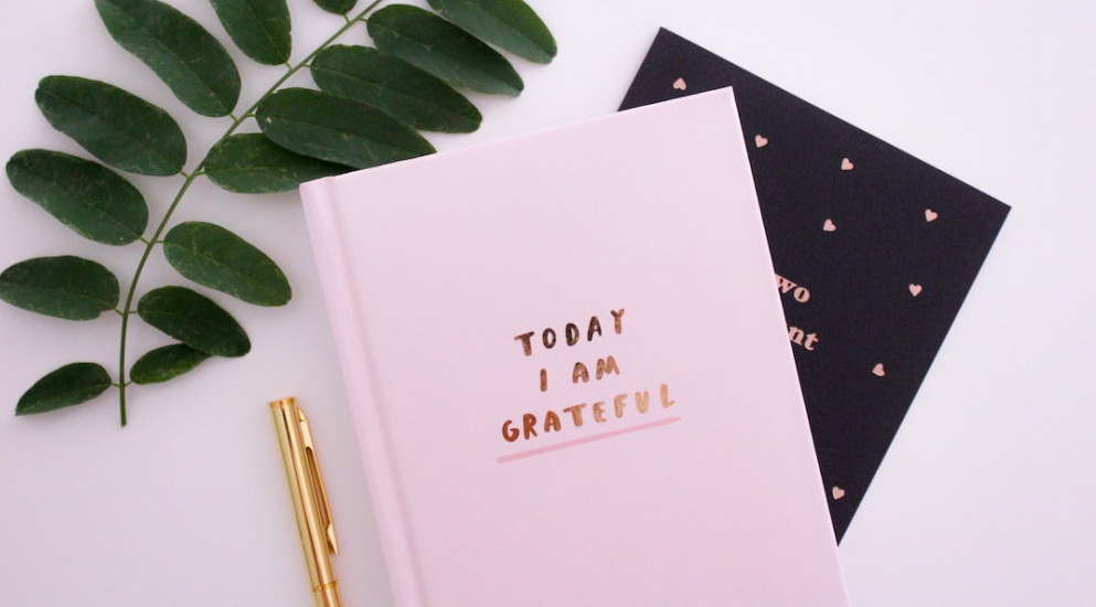 Gratitude Games for Adults: a notebook of gratitude