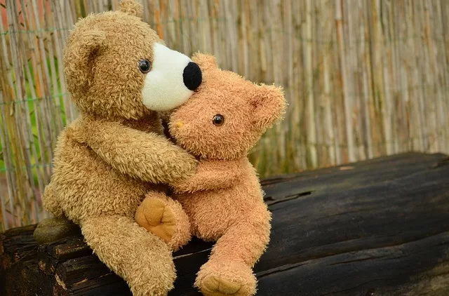 30 Days Thankfulness Challenge: 2 bears are hugging each other