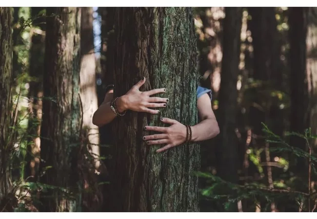tree hugging benefits: a person is hugging a tree
