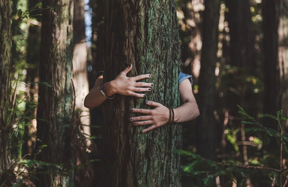 tree hugging benefits: a woman is hugging a tree