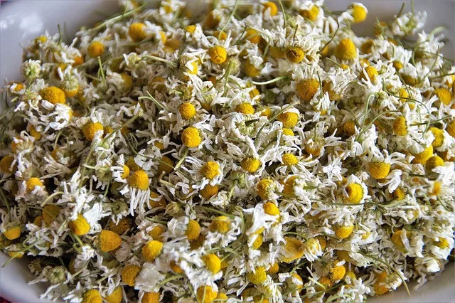 What is the best tea to drink for anxiety?  dried chamomile