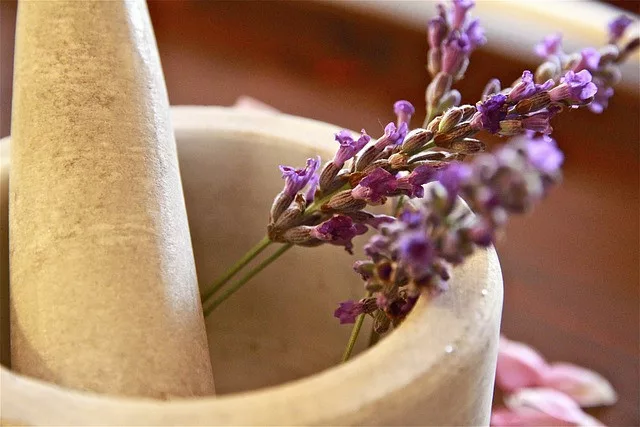 What is the best tea to drink for anxiety? lavender flowers