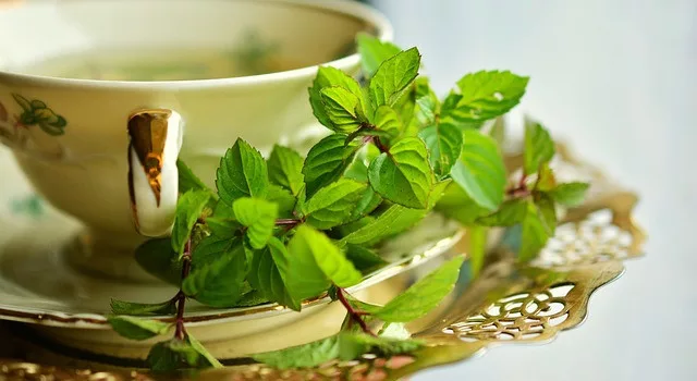 What is the best tea to drink for anxiety? mint tea