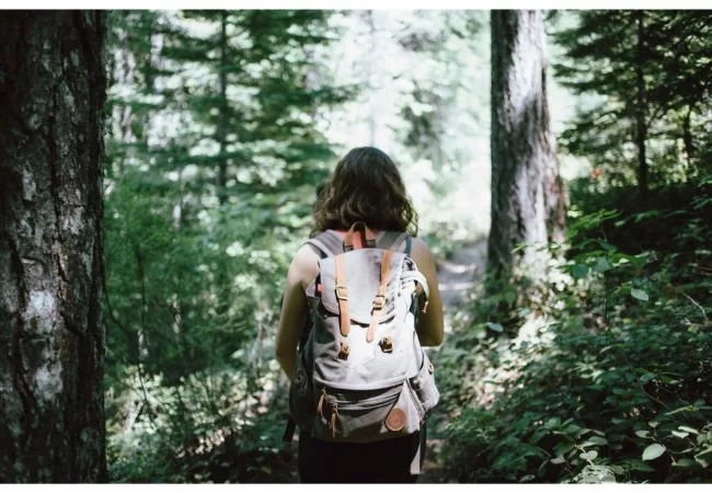 How to increase your vibrational frequency: a woman is hiking in a beautiful forest